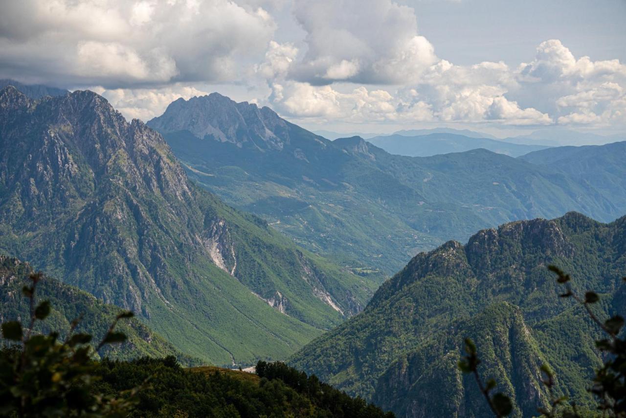 Ujevara E Vogel Villa *